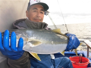 鯛紅丸 釣果