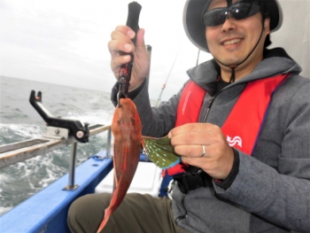 鯛紅丸 釣果