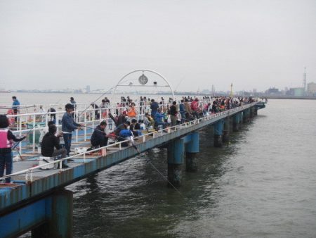 オリジナルメーカー海づり公園(市原市海づり施設) 釣果