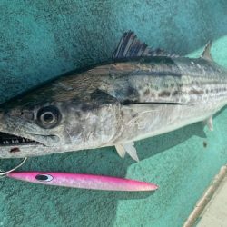 広進丸 釣果