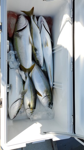 遊漁船　ニライカナイ 釣果