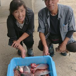 明神釣船 釣果