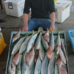 明神釣船 釣果