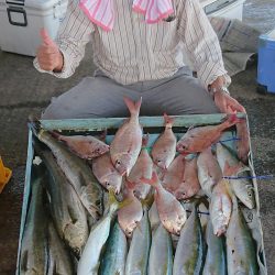 明神釣船 釣果