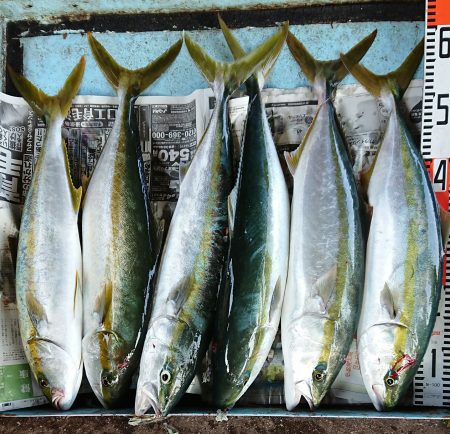 明神釣船 釣果