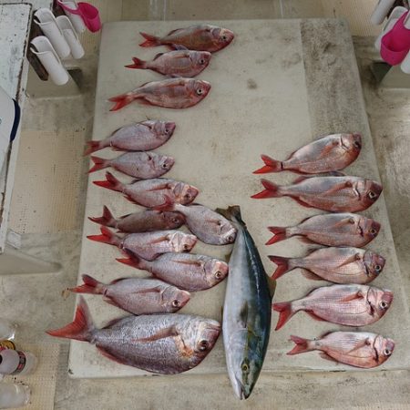 たかみ丸 釣果