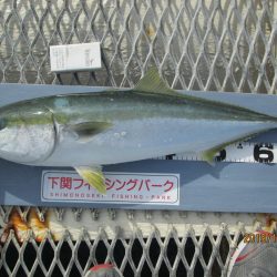 下関フィッシングパーク 釣果