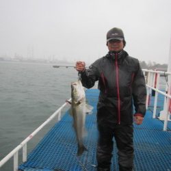 オリジナルメーカー海づり公園(市原市海づり施設) 釣果