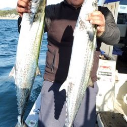 遊漁船　ニライカナイ 釣果