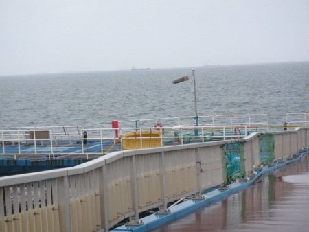 オリジナルメーカー海づり公園(市原市海づり施設) 釣果