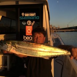 ミタチ丸 釣果