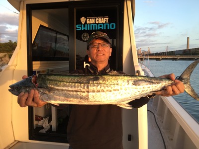 ミタチ丸 釣果