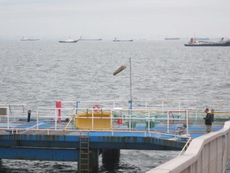 オリジナルメーカー海づり公園(市原市海づり施設) 釣果