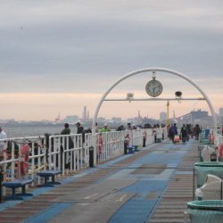 オリジナルメーカー海づり公園(市原市海づり施設) 釣果