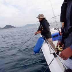 開進丸 釣果