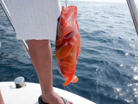 開進丸 釣果