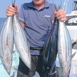 高知 カツオ ジギング船 釣り船 釣果情報サイト カンパリ