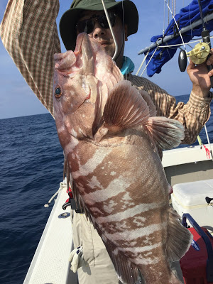 凪紗丸 釣果