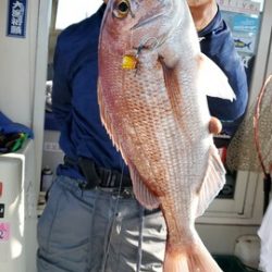 遊漁船　ニライカナイ 釣果