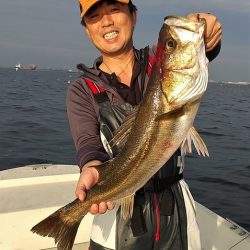 めだか屋 釣果