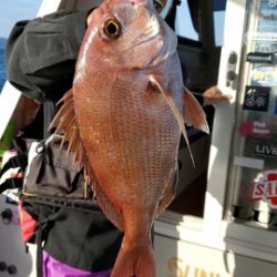 遊漁船　ニライカナイ 釣果