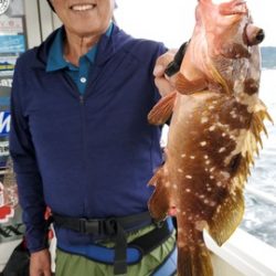 遊漁船　ニライカナイ 釣果