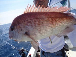 兼六丸 釣果