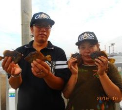 鹿島港魚釣園 釣果