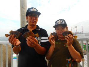 鹿島港魚釣園 釣果