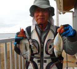 鹿島港魚釣園 釣果