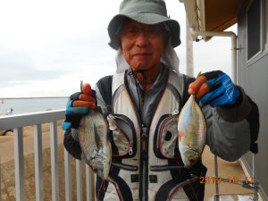 鹿島港魚釣園 釣果