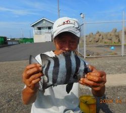 鹿島港魚釣園 釣果