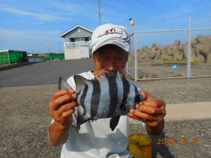 鹿島港魚釣園 釣果