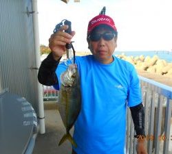 鹿島港魚釣園 釣果