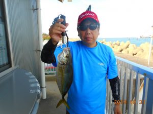 鹿島港魚釣園 釣果