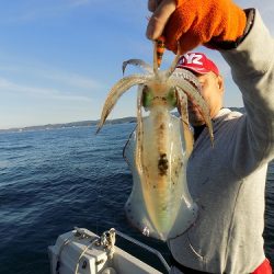 フィッシングボート空風（そらかぜ） 釣果