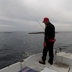 フィッシングボート空風（そらかぜ） 釣果