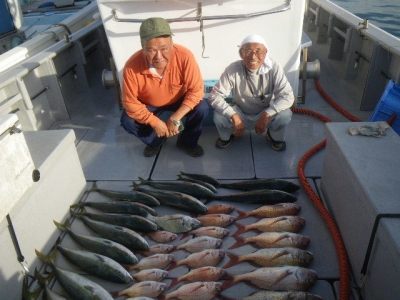 磯部釣船 直栄丸 釣果