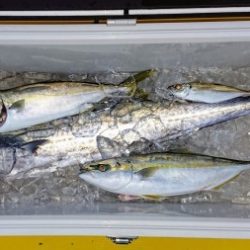 火遠理丸（ほおりまる） 釣果