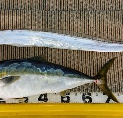 火遠理丸（ほおりまる） 釣果