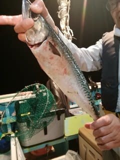 松福丸 釣果