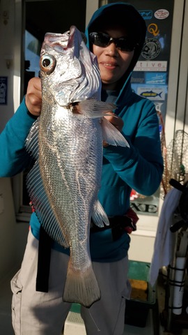 遊漁船　ニライカナイ 釣果