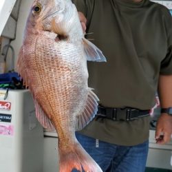 遊漁船　ニライカナイ 釣果