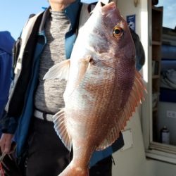 遊漁船　ニライカナイ 釣果