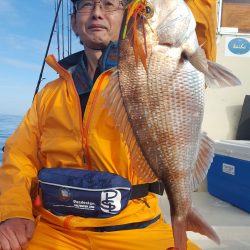 海峰 釣果