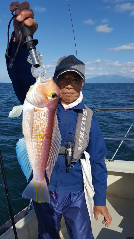 海峰 釣果