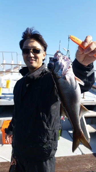 小海途 釣果