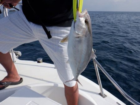 開進丸 釣果