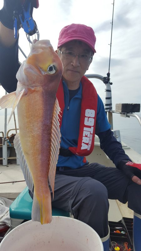 海峰 釣果