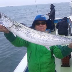 さわ浦丸 釣果